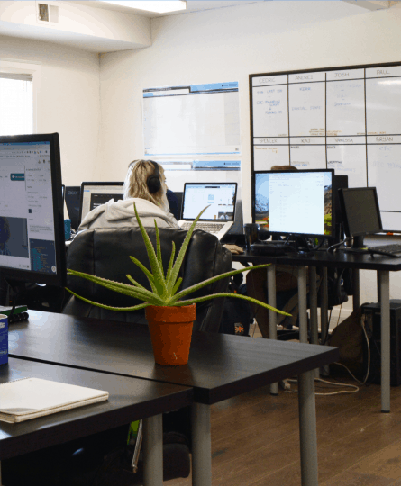 Custom Web Solutions in Toronto