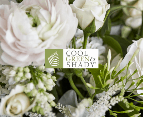 Cool Green and Shady - Toronto Website Maintenance