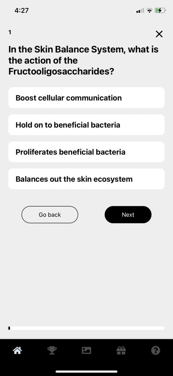 Toronto Web Design on mobile image