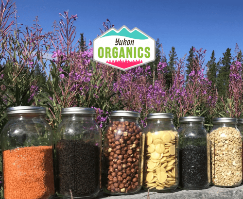 Yukon Organics - Custom Website Design Toronto