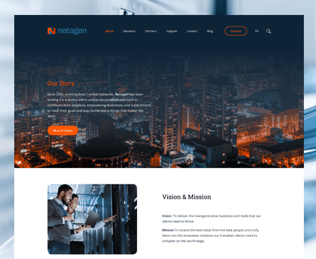 netagen - custom wordpress design toronto
