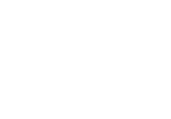 Everlink logo - white